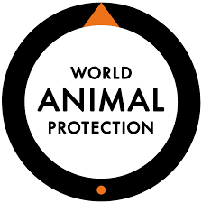 Global Animal Protection Index 2020