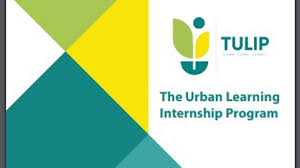 Govt starts “TULIP” portal to provide internships to graduates, engineers