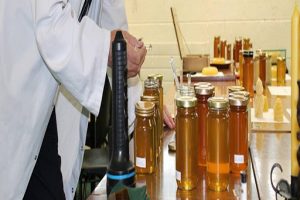 World Class State of Art Honey Testing Laboratory