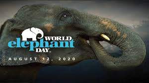 World Elephant day